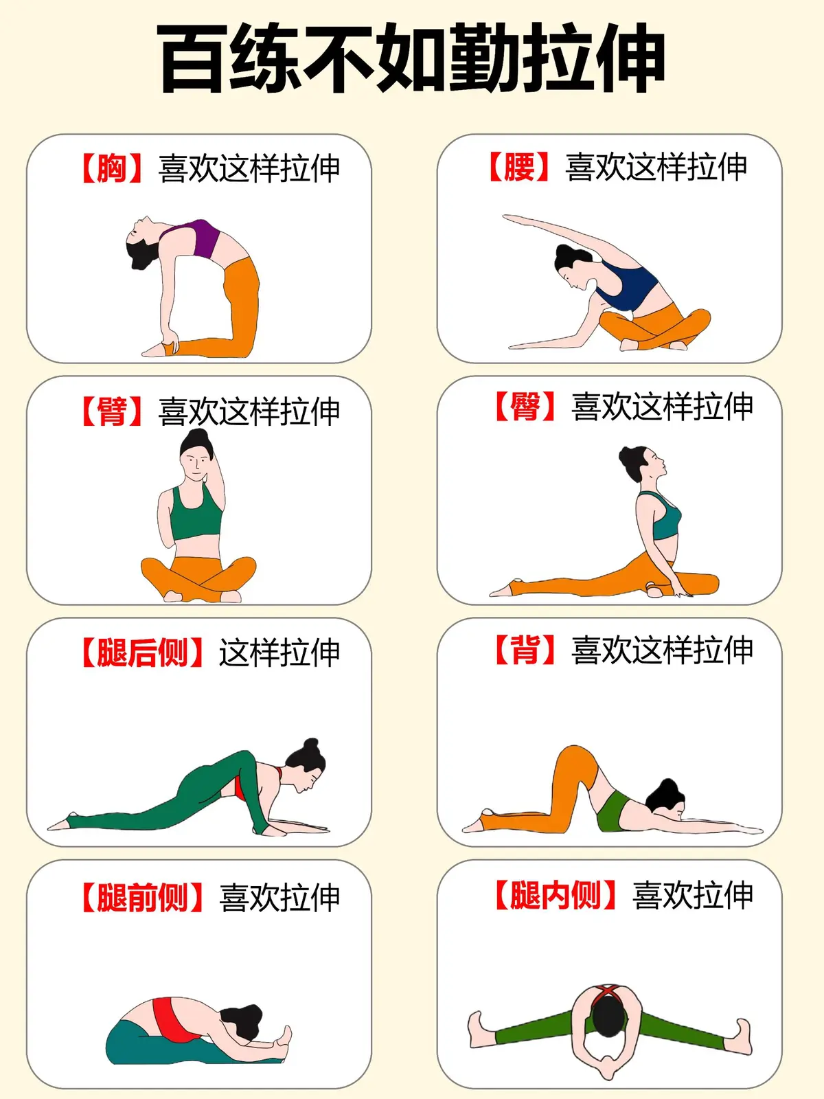 哪里能找到分卫的技术分析视频_0